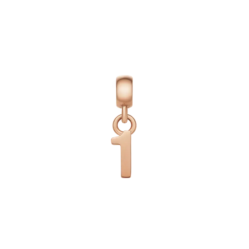 Daniel Wellington Rose Gold Charm Number | DW