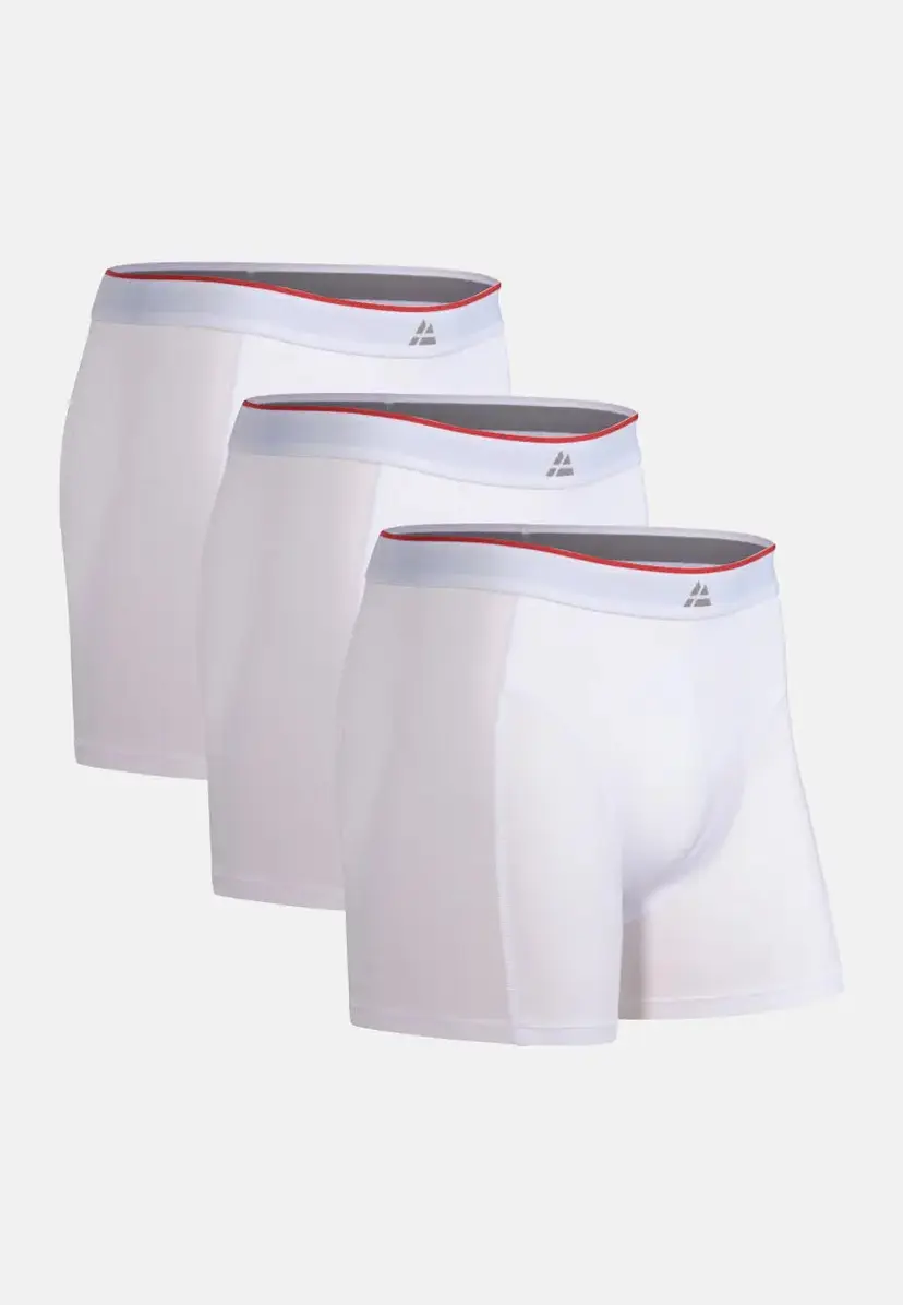 DANISH ENDURANCE DANISH ENDURANCE Bambus Underbukser, Hvid, 2XL
