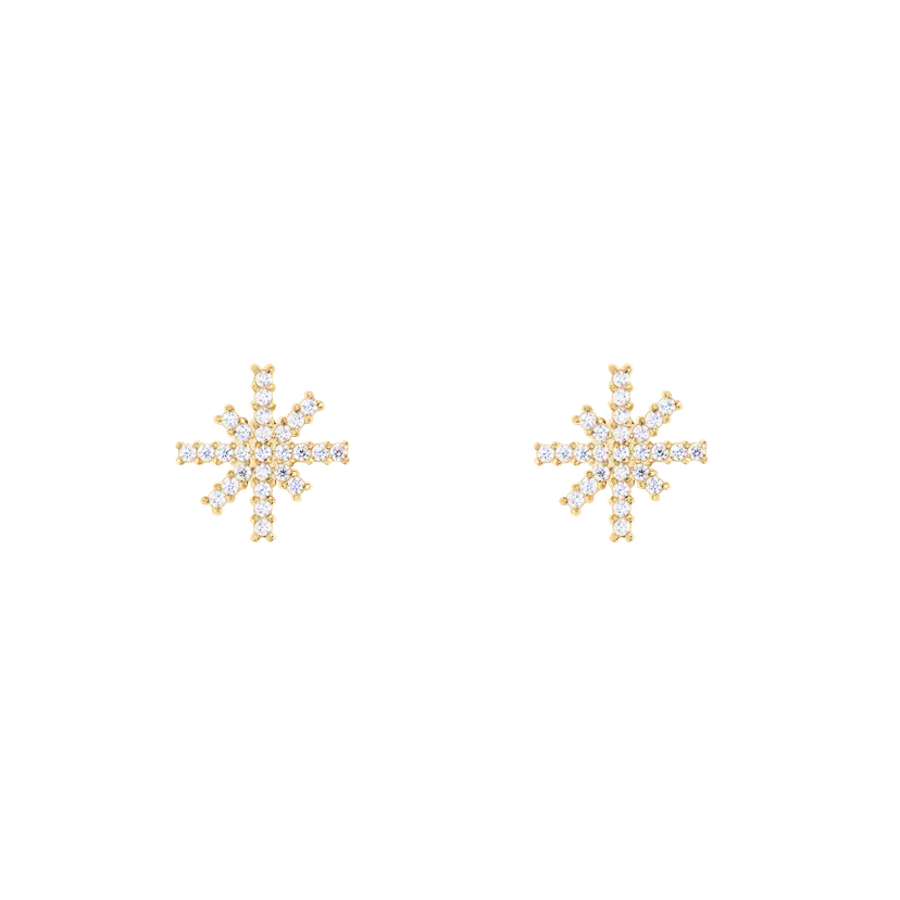 Daniel Wellington Gold Earrings Mirelle Star | DW