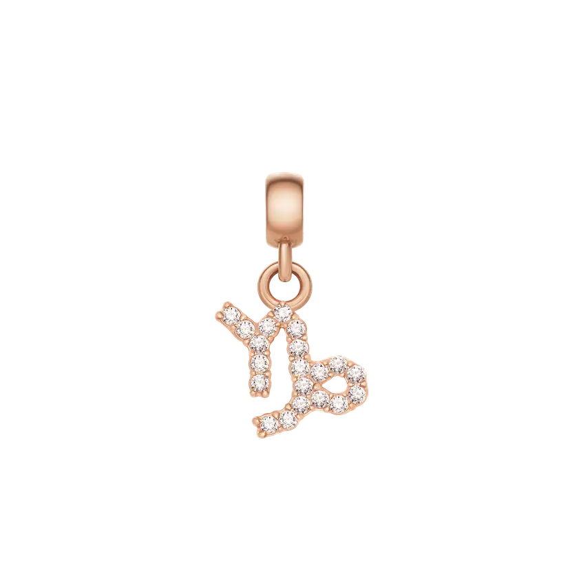 Daniel Wellington Rose Gold Charm Crystal Zodiac | DW