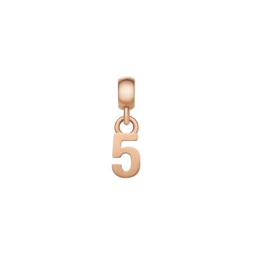 Daniel Wellington Rose Gold Charm Number | DW
