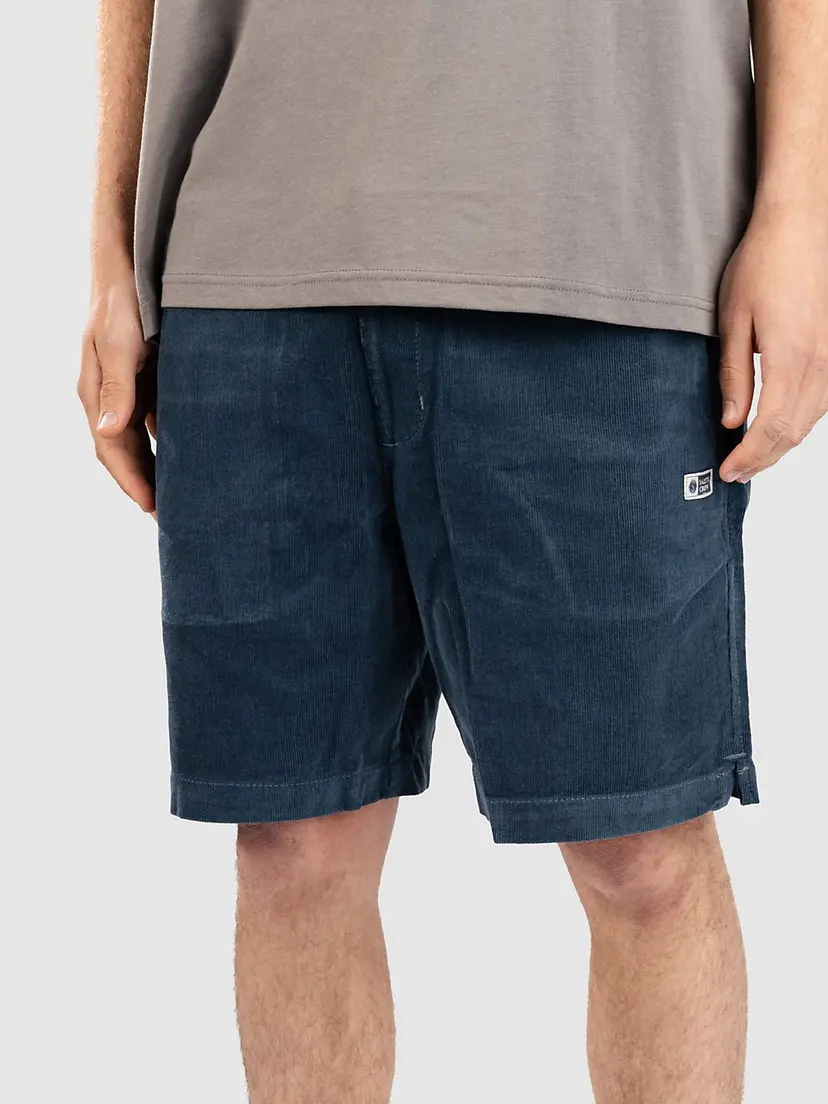 Salty Crew Salty Crew Kahuna Cord 19 Shorts blå