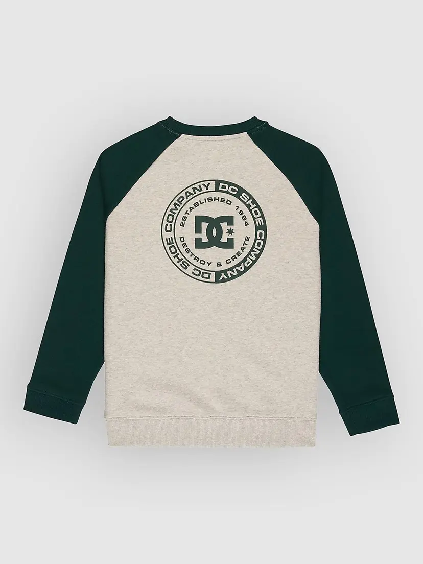 Dc DC Corpo Raglan Crew Kids Genser grønn