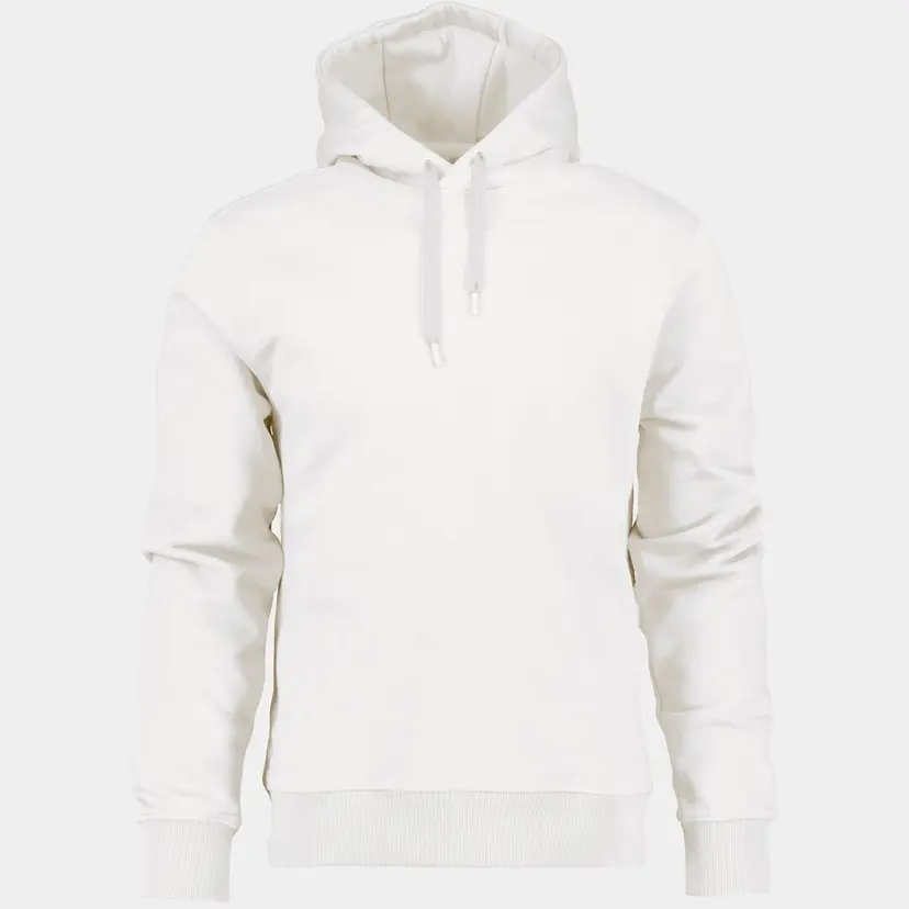Didriksons Ven Men's Hoodie