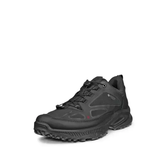 ECCO ECCO RECEPTOR XP M GTX INV FIT 85433451094