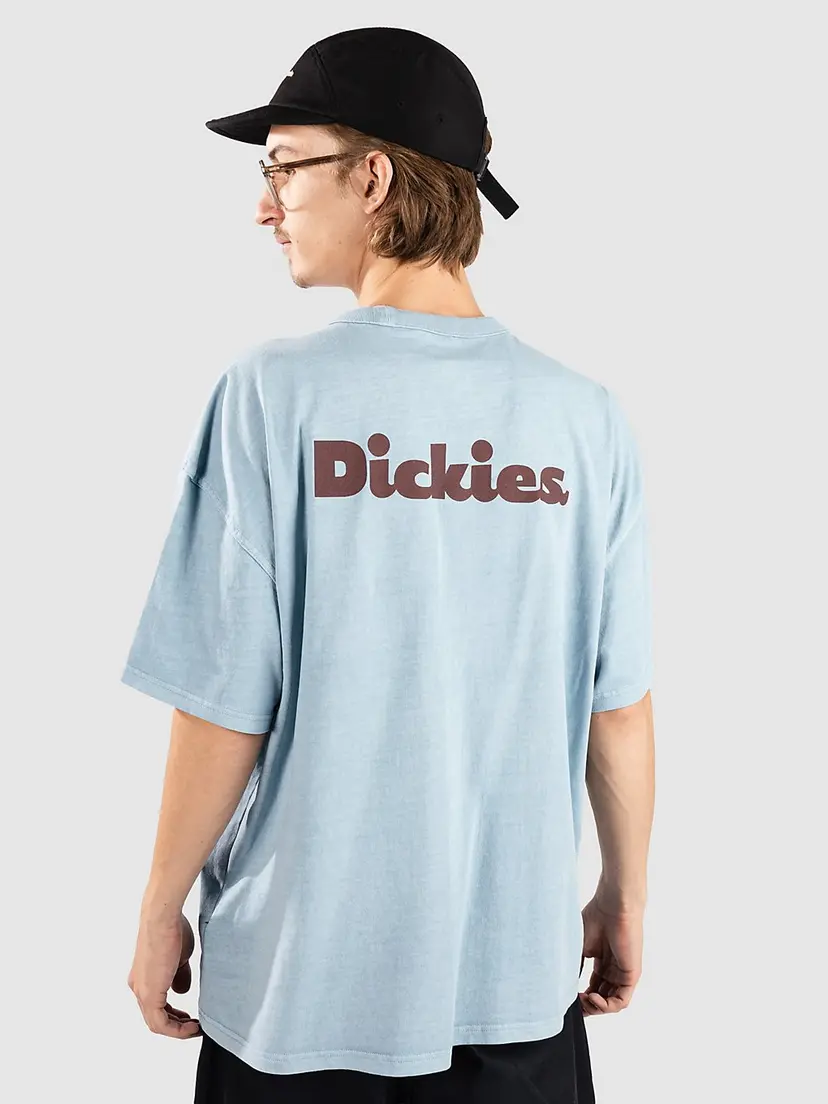 Dickies Dickies Slayden Gd T-skjorte blå