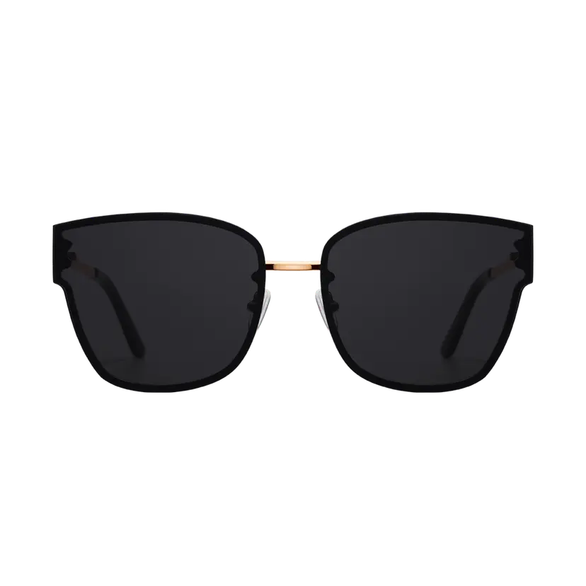 Daniel Wellington Rose Gold Eyewear Steel Grande | DW