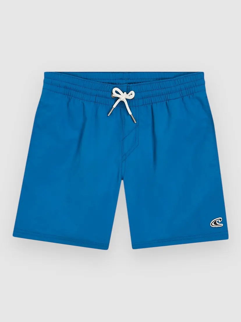 O'Neill O'Neill Vert 14" Kids Boardshorts blå