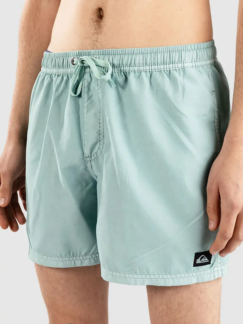 Quiksilver Quiksilver Everyday Surfwash Volley 15 Boardshorts blå