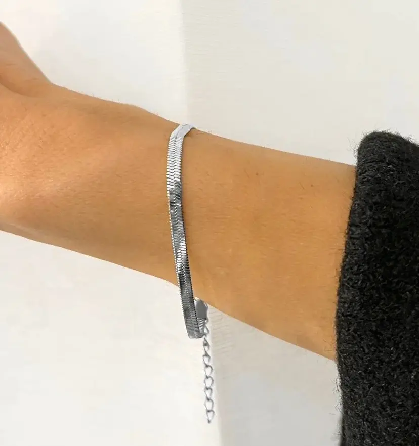 Aiyanna Snake Steel Bracelet