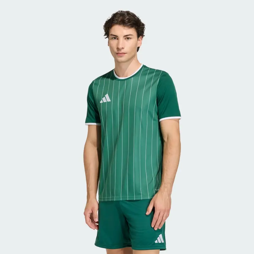 Adidas Entrada26 Graphic Trøye
