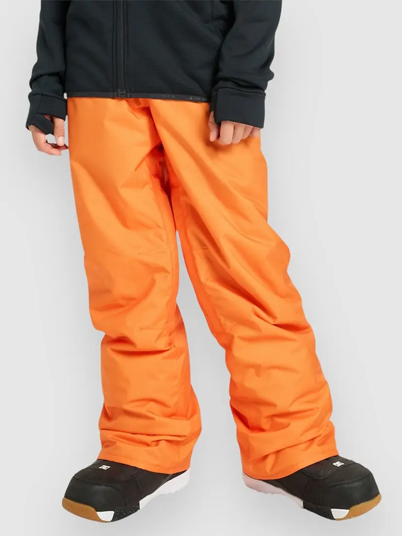 Quiksilver Quiksilver Estate Kids Bukse oransj