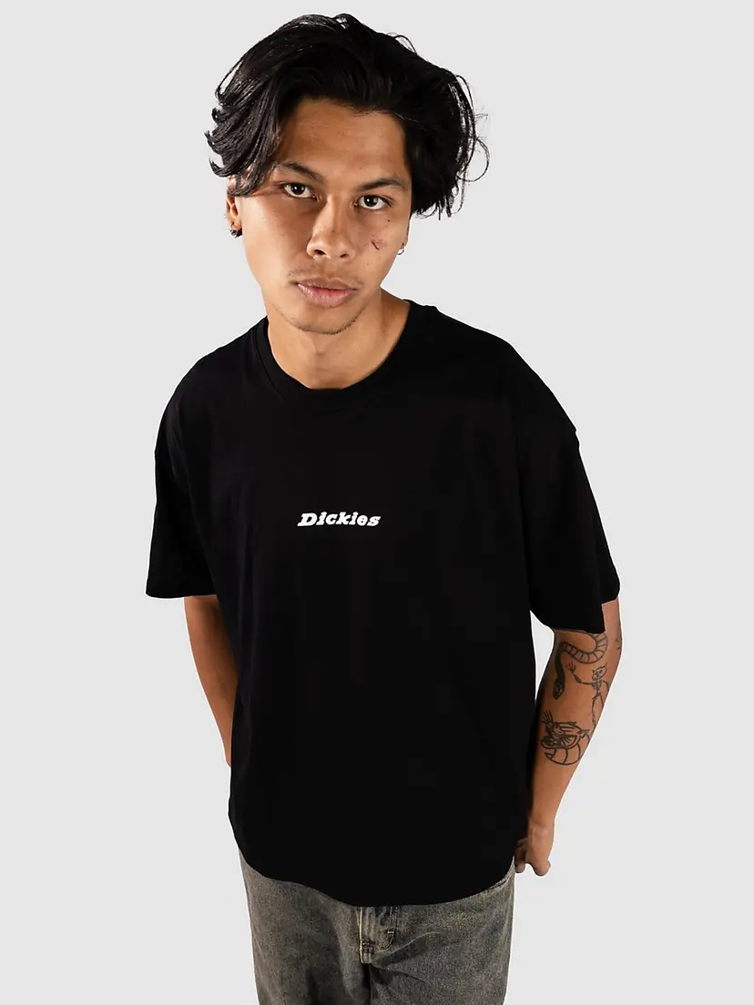 Dickies Dickies Enterprise T-skjorte svart