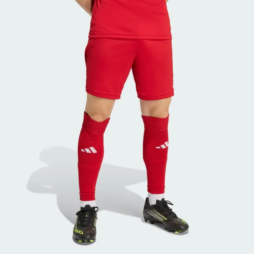 Adidas Entrada26 Shorts