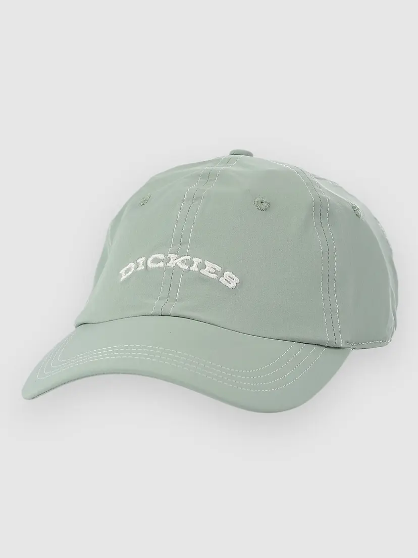 Dickies Dickies Wilsall Caps grønn