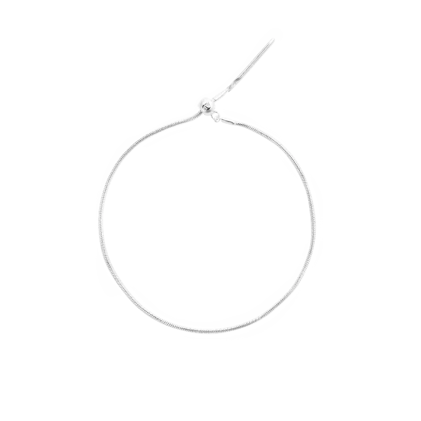 Daniel Wellington Silver Bracelet Charms Snake S925 Sterling | DW