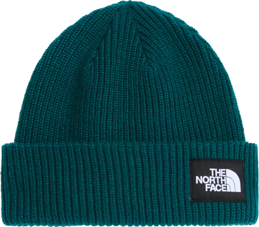 The North Face The North Face Salty Lined Beanie Pacific Teal