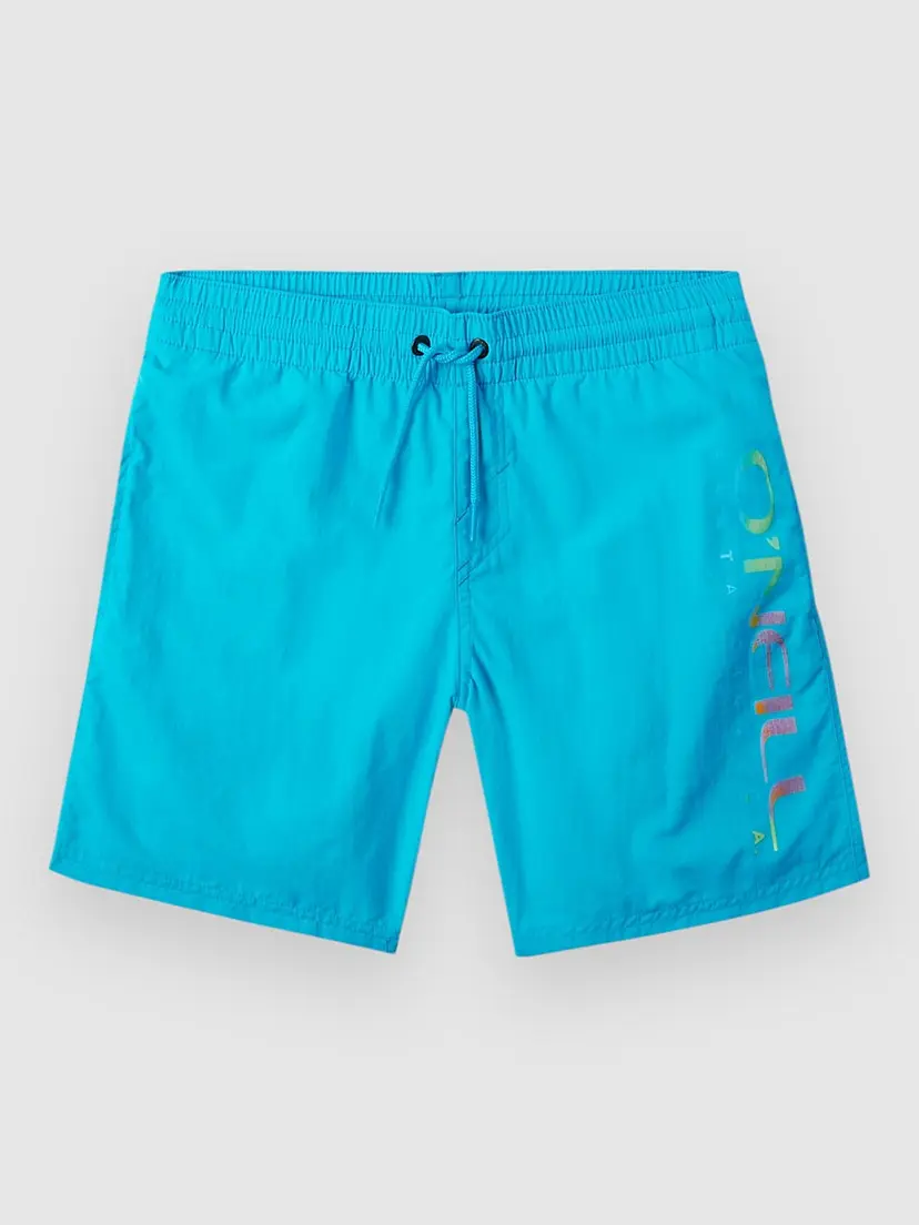 O'Neill O'Neill Cali Melting 14'' Kids Boardshorts blå