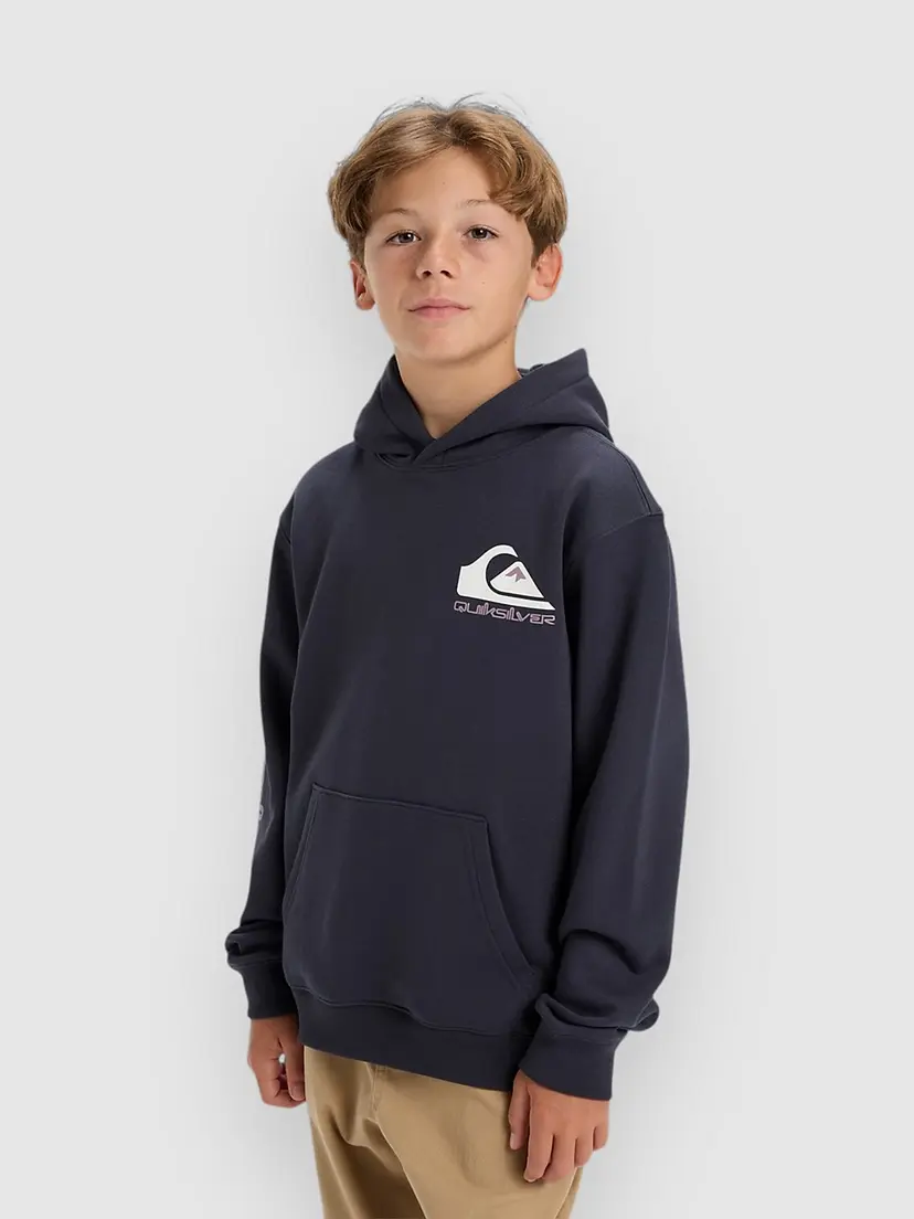 Quiksilver Quiksilver Omni Logo Kids Hettegenser grå