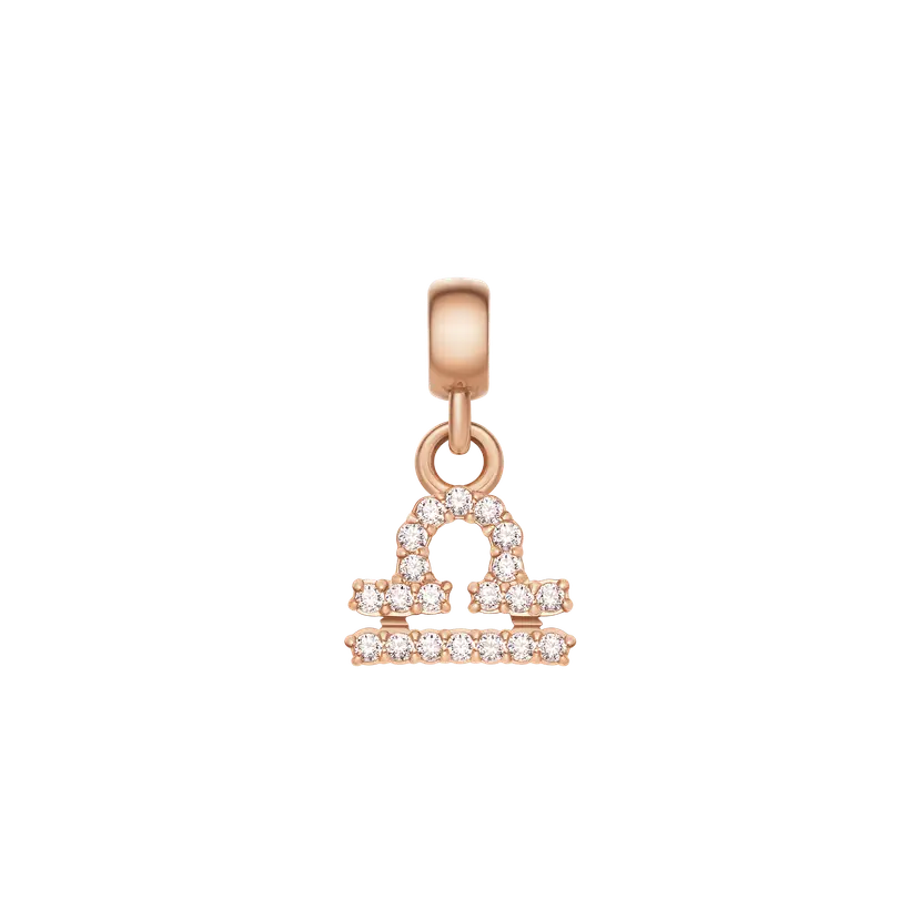 Daniel Wellington Rose Gold Charm Crystal Zodiac | DW