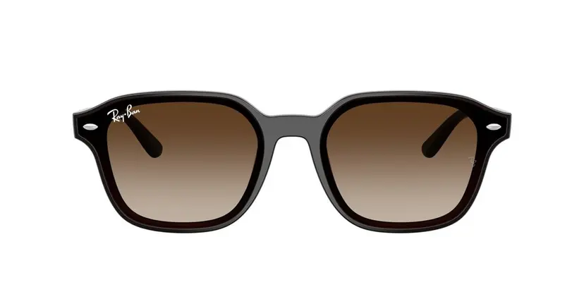 Ray-Ban Ray-Ban RB4458D Sort