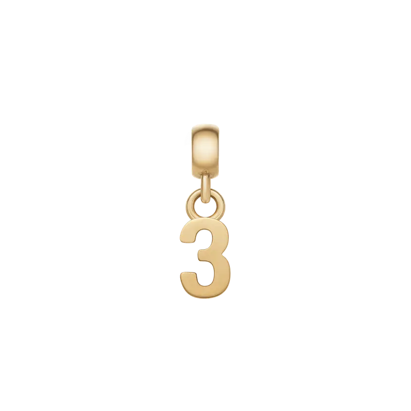 Daniel Wellington Gold Charm Number | DW