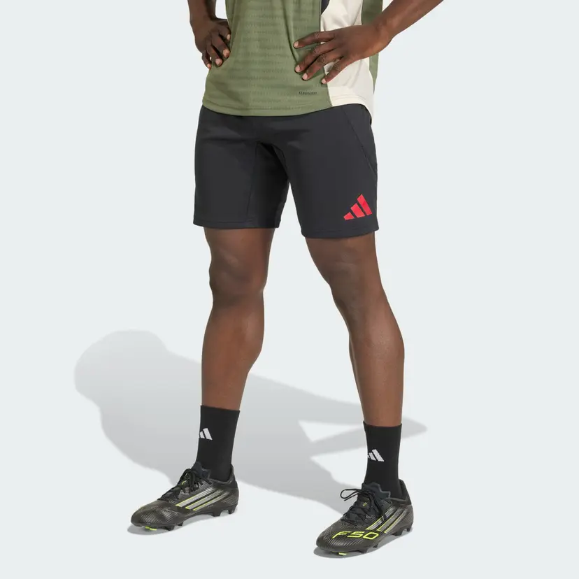 Adidas FC Bayern 2025/2026 Tiro25 European Pro Training Shorts