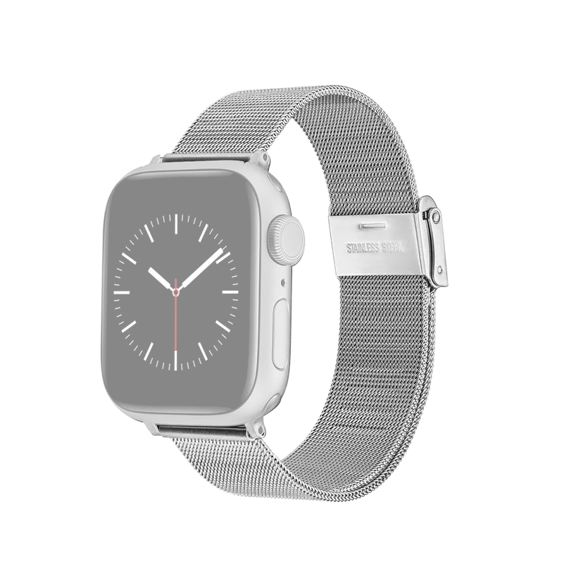 Daniel Wellington Silver Strap Smartwatch Mesh | DW