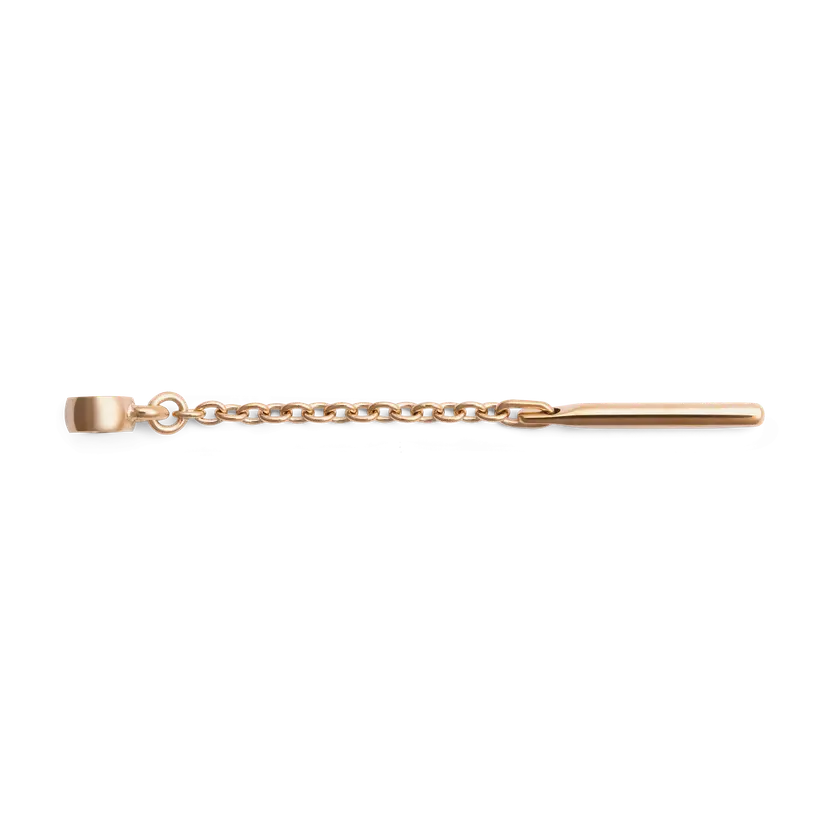 Daniel Wellington Rose Gold Charm Extension Chain | DW