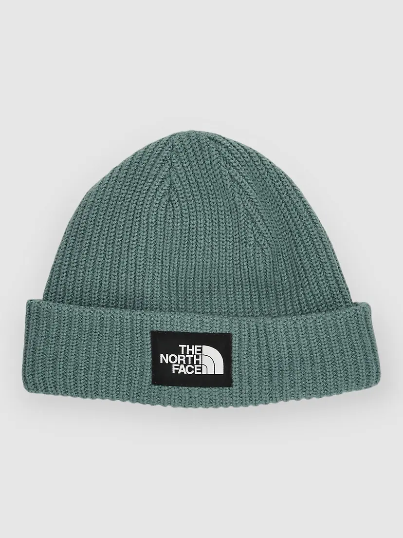 The North Face THE NORTH FACE Salty Dog Lined Lue grønn