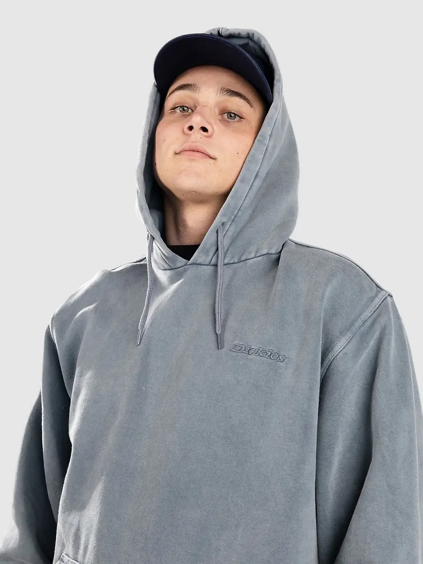 Dickies Dickies Plentywood Hettegenser blå
