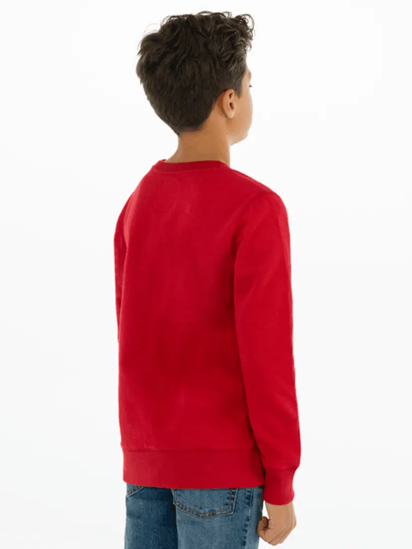 Levi's Levis Batwing Crewneck Genser Levis Red/ White (176 /16 år)
