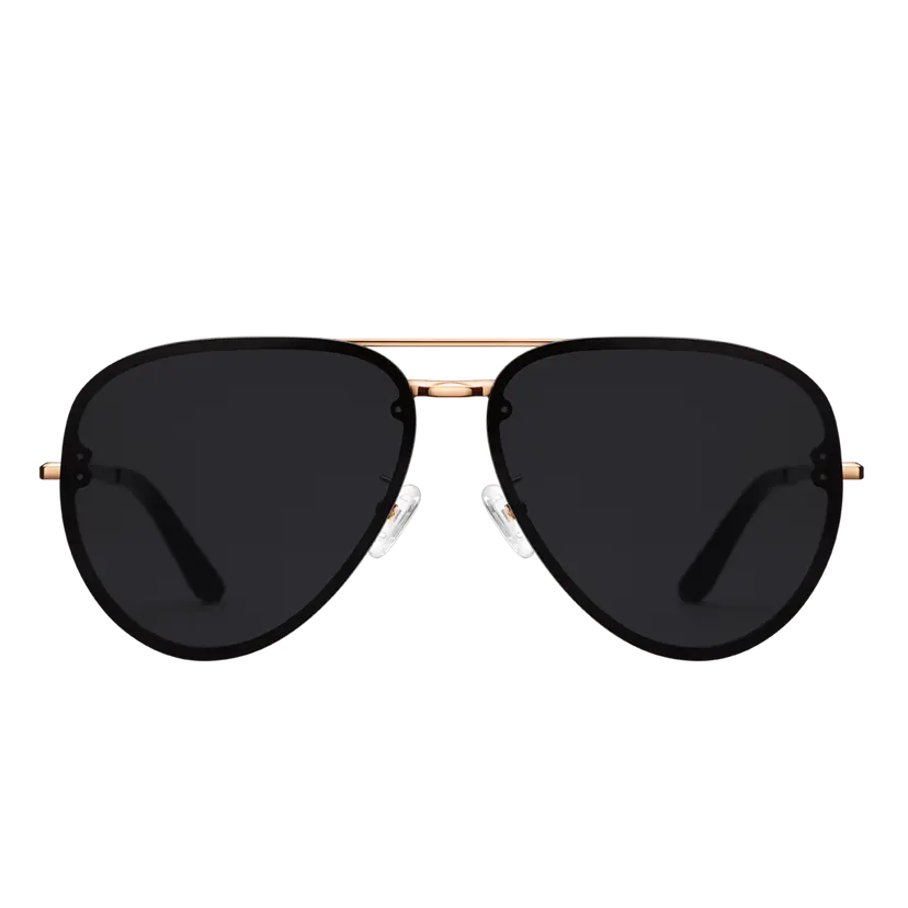 Daniel Wellington Rose Gold Eyewear Avion Steel | DW
