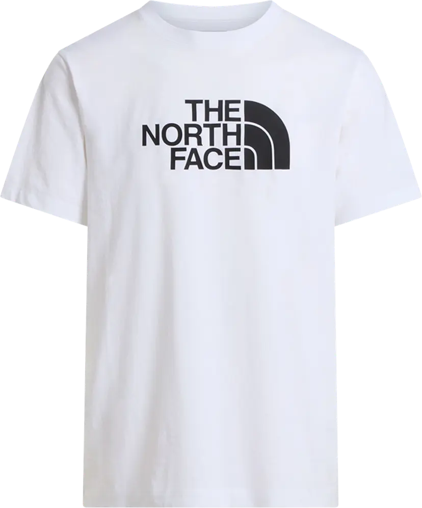 The North Face The North Face Men's Evolution Half Dome Regular Short Sleeve T-Shirt TNF White/TNF Black
