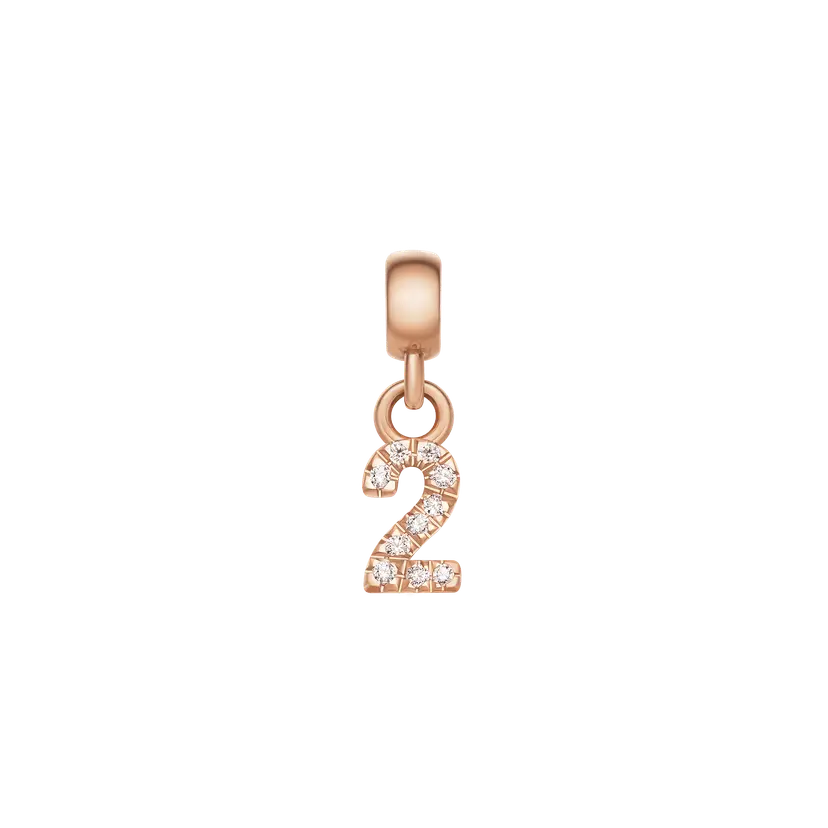 Daniel Wellington Rose Gold Charm Crystal Number | DW