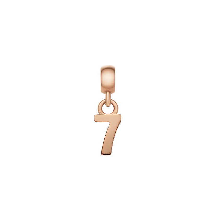 Daniel Wellington Rose Gold Charm Number | DW