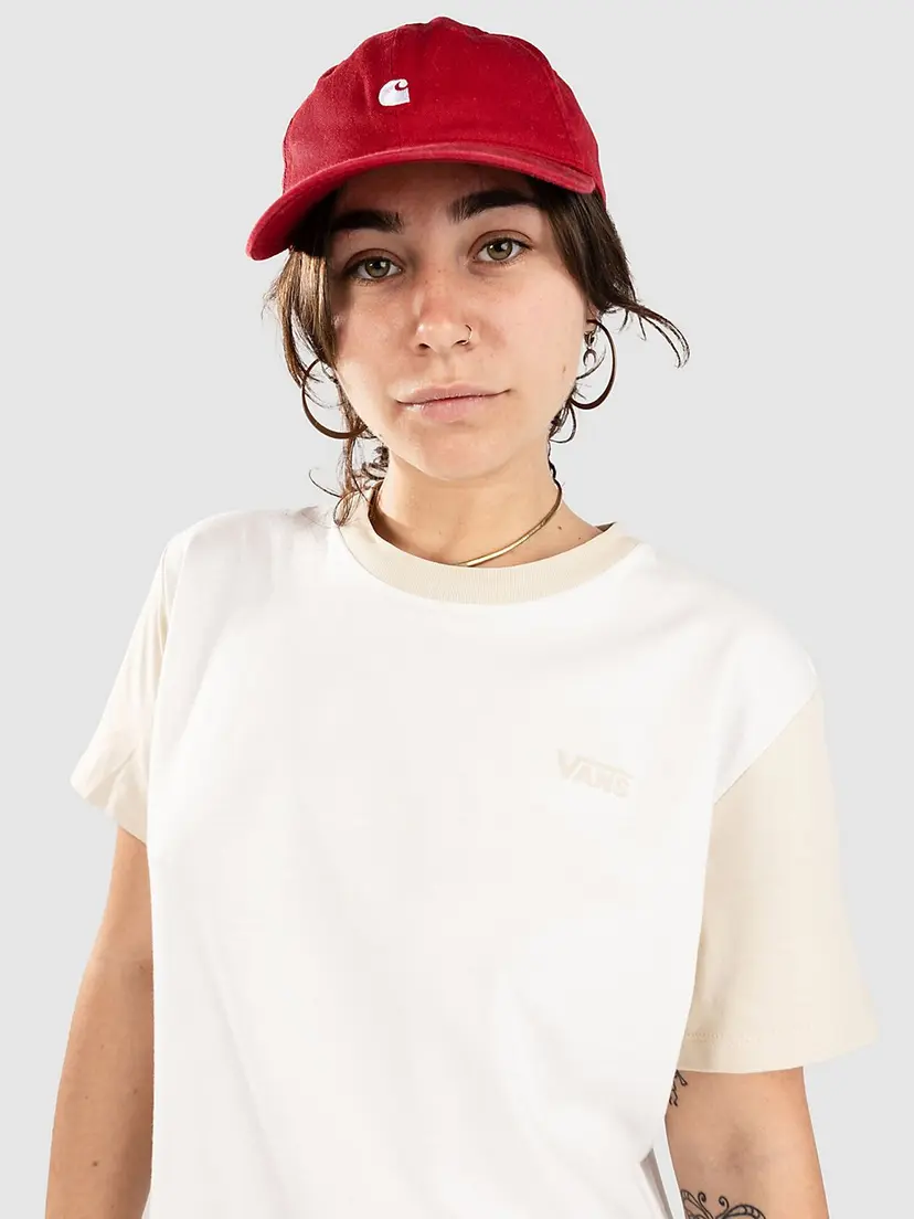 Vans Vans Colorblock BFF T-skjorte