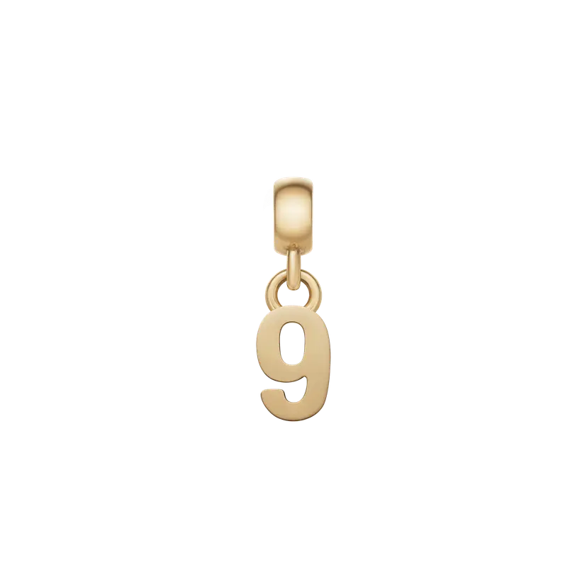 Daniel Wellington Gold Charm Number | DW