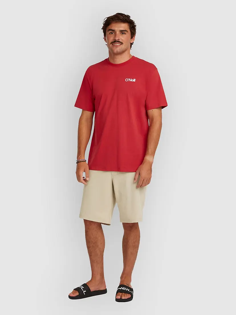 O'Neill O'Neill O'Neill Hybrid 19" Melange Shorts