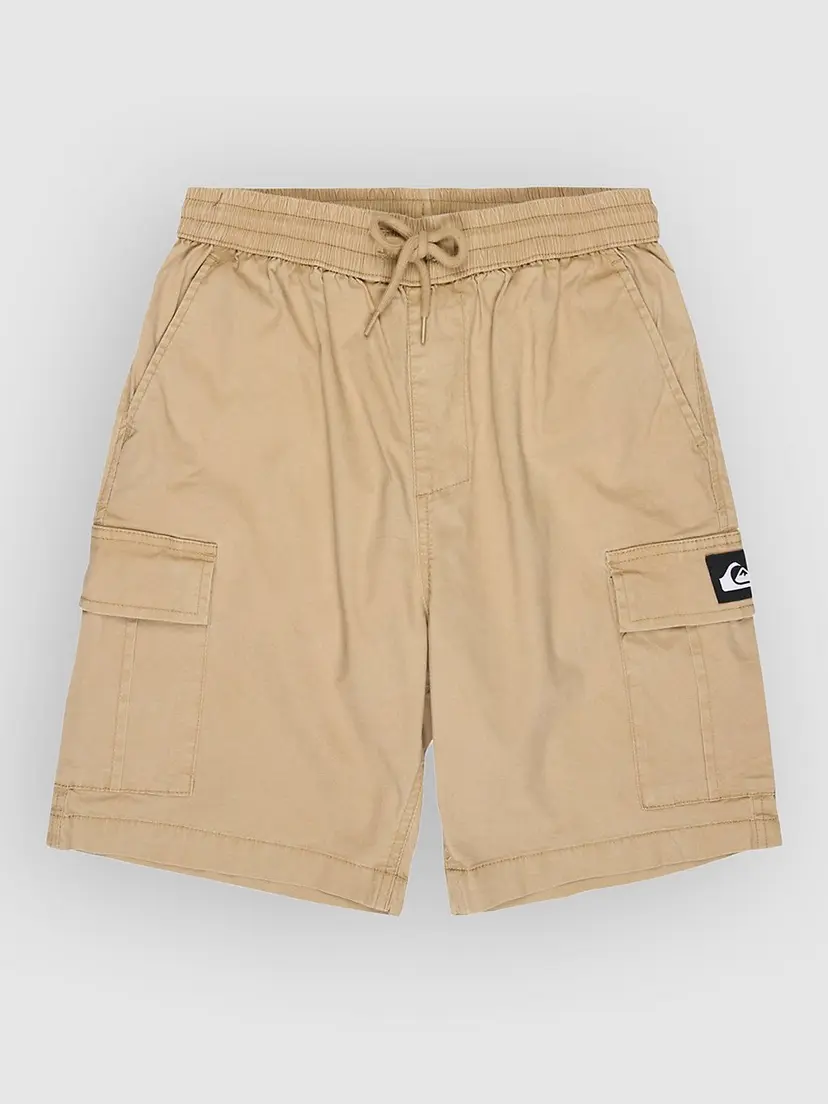 Quiksilver Quiksilver Taxer Cargo Kids Shorts brun