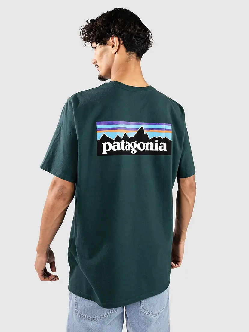 Patagonia Patagonia P-6 Logo Responsibili T-skjorte grønn