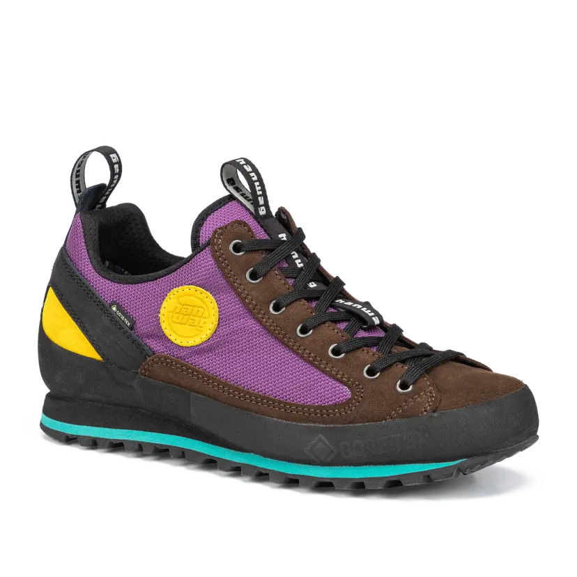 Hanwag Hanwag Men's Rotpunkt Low Gore-Tex Brown/violet