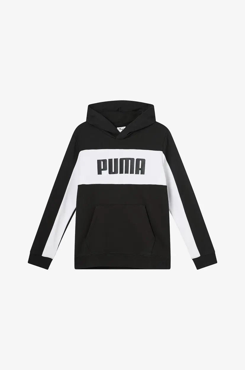 Puma Hettegenser Ess Block Hoodie TR B - Svart