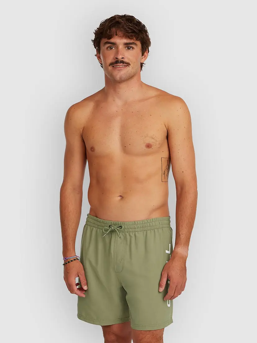 O'Neill O'Neill Logo 16'' Boardshorts grønn