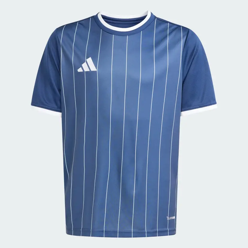 Adidas Entrada 26 Graphic Trøye