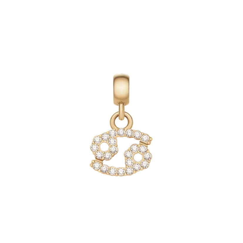 Daniel Wellington Gold Charm Crystal Zodiac | DW