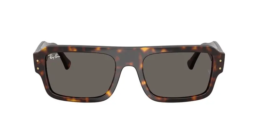 Ray-Ban Ray-Ban RB4454 Flacko (Bio-Based) Multi