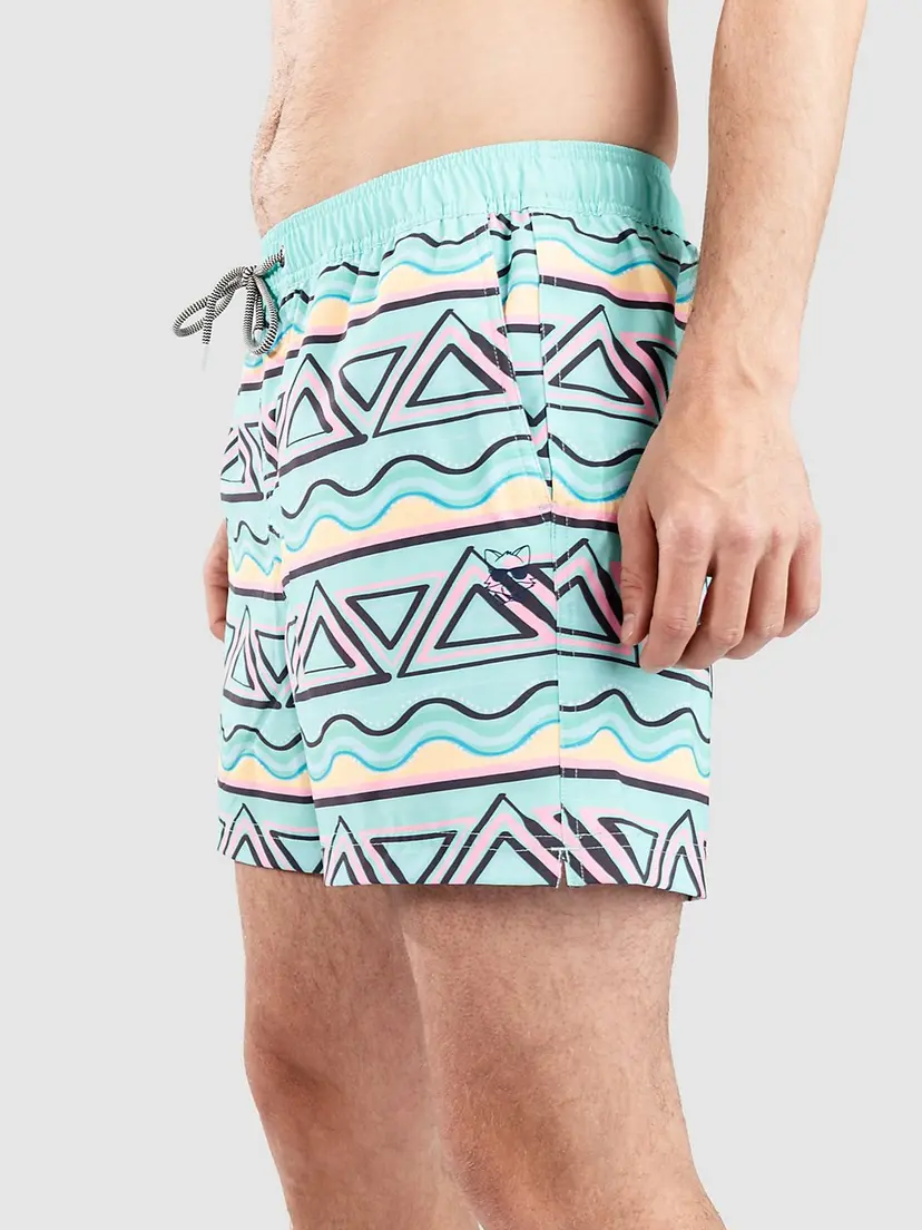 Party Pants Party Pants Fiesta Stripe HH Boardshorts mønster