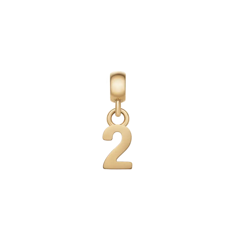 Daniel Wellington Gold Charm Number | DW