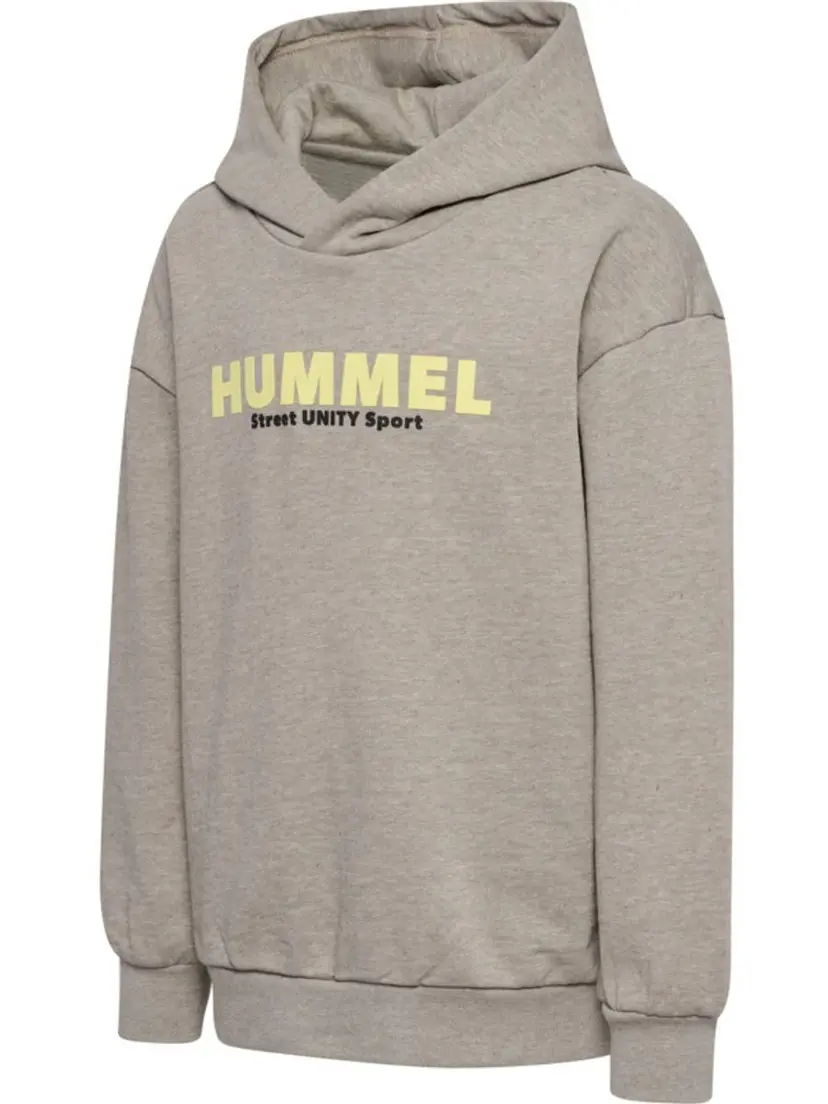 Hummel Hummel Zen Hoodie Silver Mink (134 / 9 år)